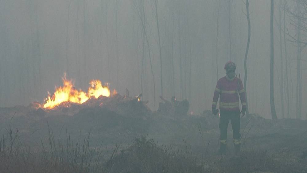 VIDEO : Portugal: Forest fire breaks out north of Lisbon – صحيفة الصوت