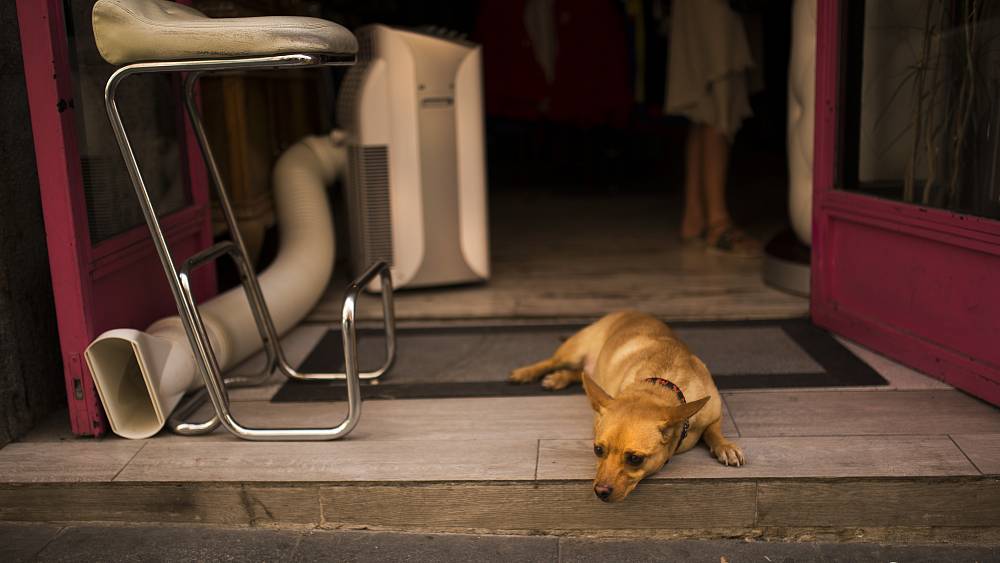 Controversy as Spain bans air conditioning from dropping below 27°C – صحيفة الصوت