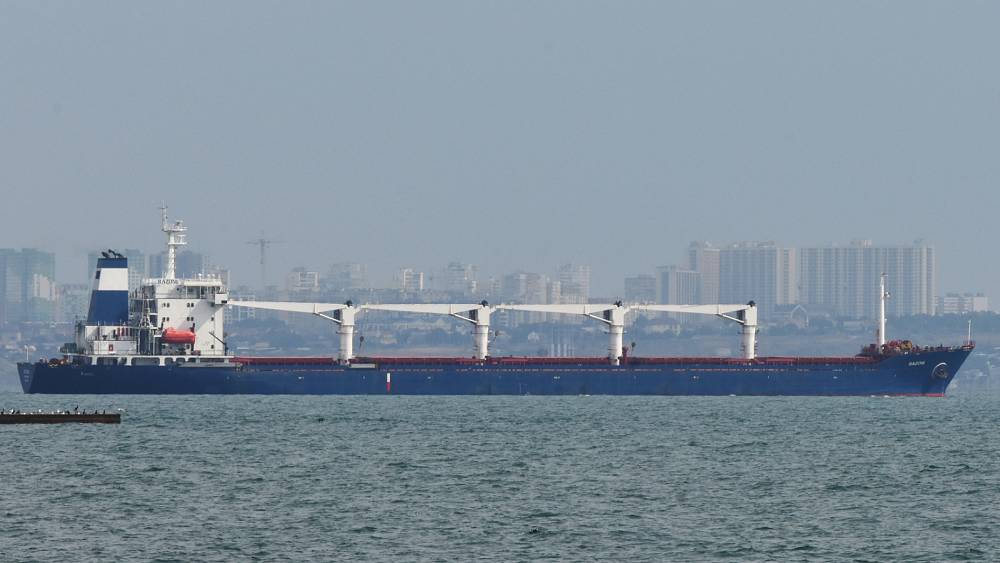 Ukraine war: Departure of first grain shipment from Odesa welcomed by Kyiv, Moscow and EU – صحيفة الصوت