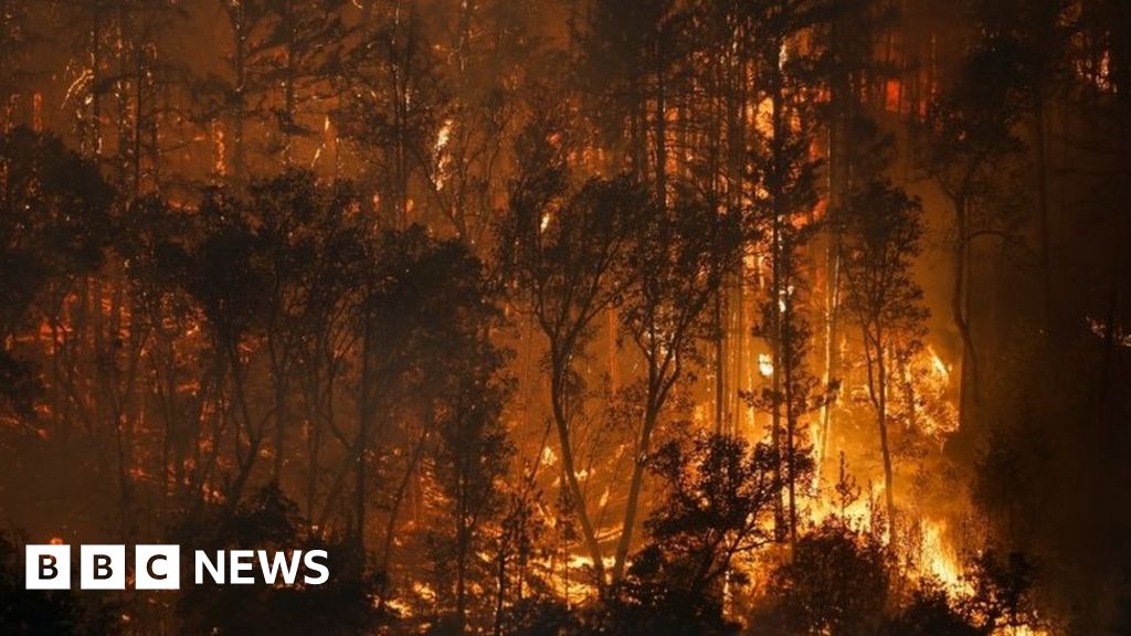 California wildfire: McKinney Fire spreads rapidly in north of state-صحيفة الصوت