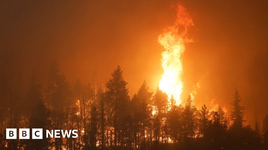 California wildfire: Two dead as firefighters battle McKinney blaze-صحيفة الصوت