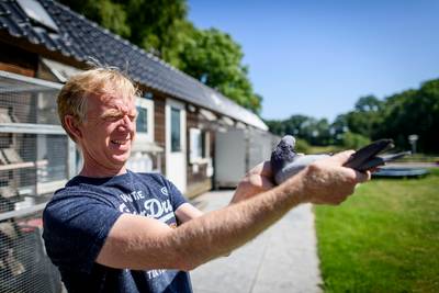 Jelle heeft al zijn duiven terug na door noodweer geteisterde vlucht: ‘Snap niet dat ze zijn losgelaten’-صحيفة الصوت