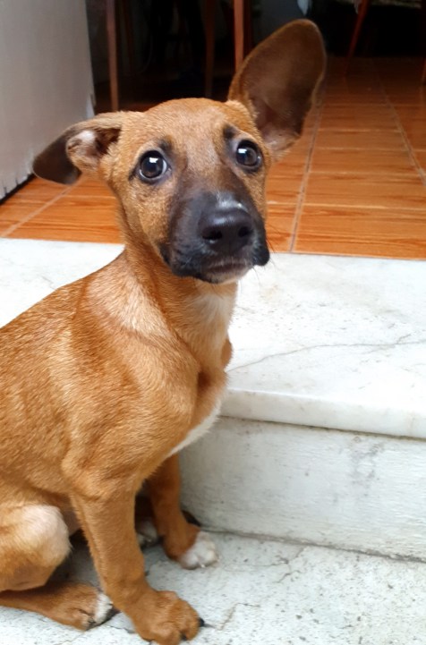 #EatRioLoves – Things to love about Rio – صحيفة الصوت