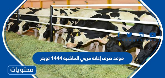 موعد صرف إعانة مربي الماشية 1444 تويتر – صحيفة الصوت