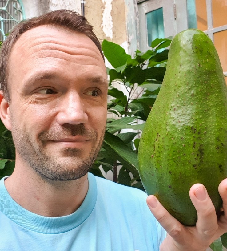 #EatRioLoves: Massive Avocados – eatrio.net – صحيفة الصوت