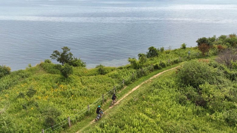 Scarborough like you’ve never seen it: Why 2 cousins want you to go adventuring on bike-صحيفة الصوت