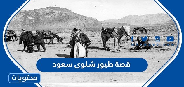قصة طيور شلوى سعود – موقع محتويات – صحيفة الصوت