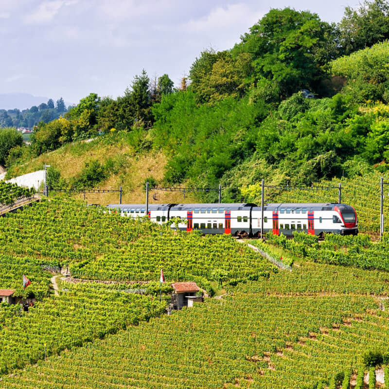 From Geneva to Zurich By Train: Duration, Prices, Schedules – صحيفة الصوت