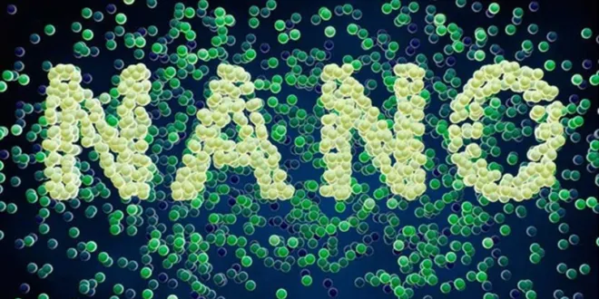 النانو تكنولوجي بوابة العبور للتقدم في الالفية الثالثة_صحيفة الصوت