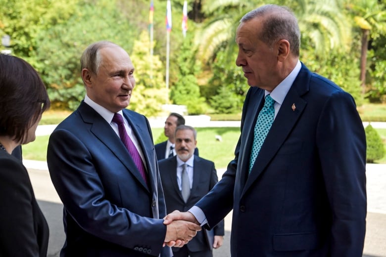 Russia strikes Ukrainian port as Putin says he won’t renew grain-exporting deal-صحيفة الصوت