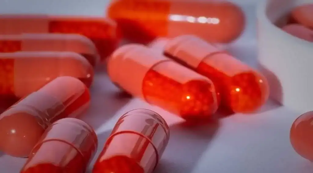 مكملات التوت البري لتجنب تكرار الإصابة بعدوى المسالك البولية – صحيفة الصوت