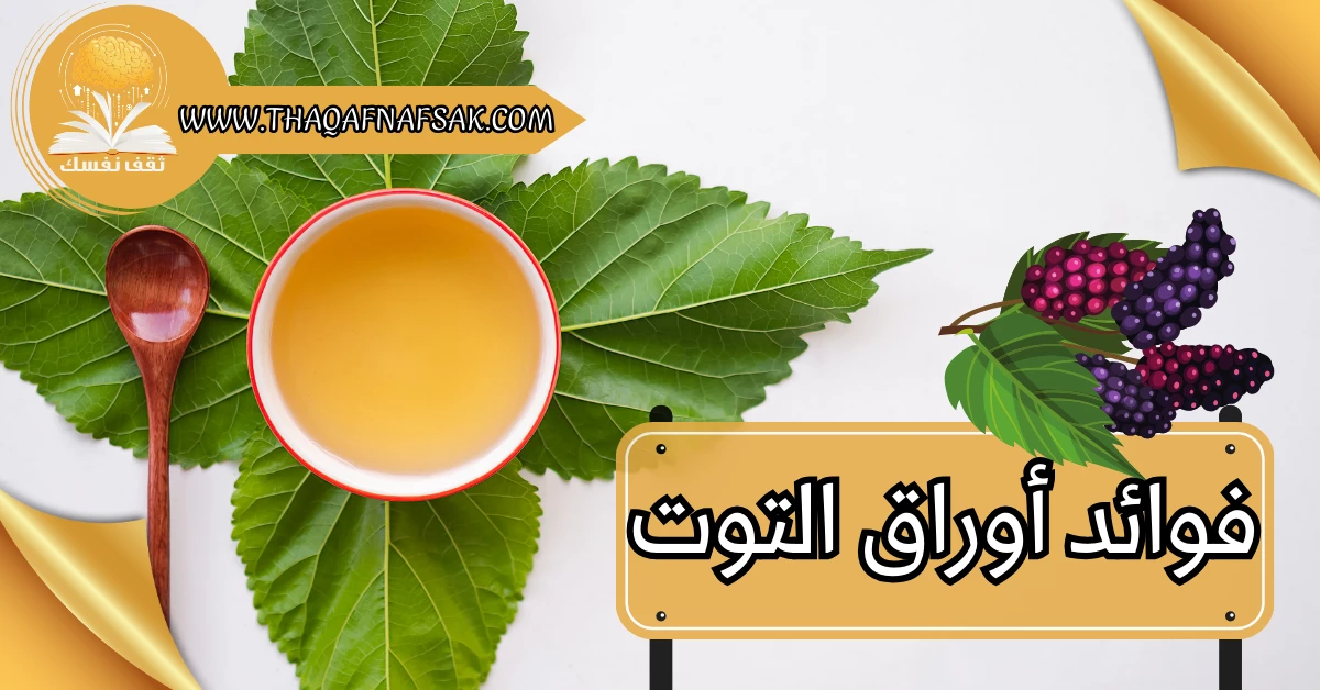 ما لا تعرفه عن فوائد أوراق التوت للجسم كنز صحي – صحيفة الصوت