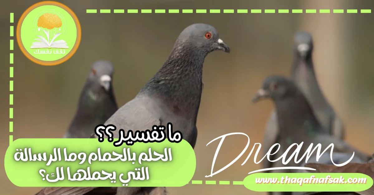 ما تفسير الحلم بالحمام وما الرسالة التي يحملها لك؟ – صحيفة الصوت