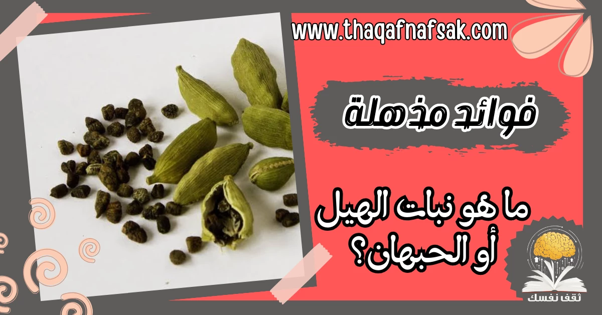 ما هو نبات الهيل أو الحبهان؟ تعرف على فوائده الصحية المذهلة – صحيفة الصوت