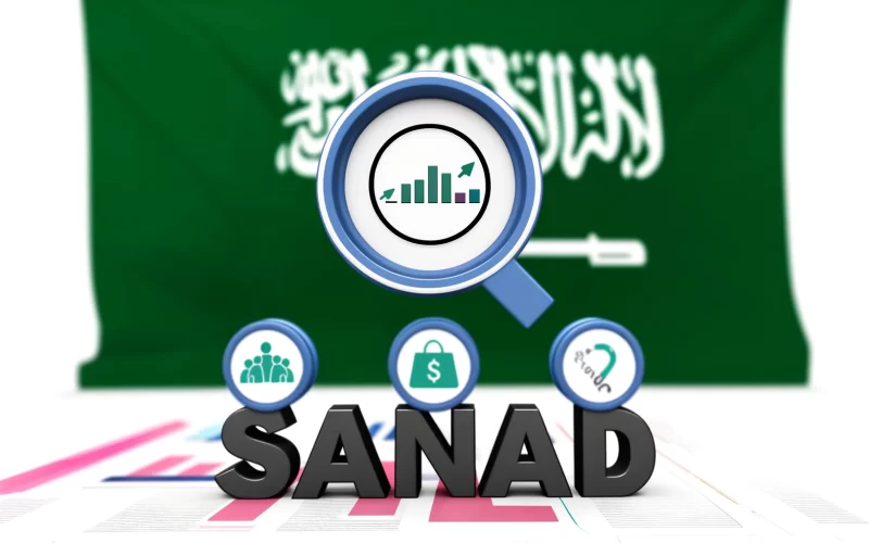فوائد برنامج ساند في السعودية: دعم مالي وتدريب مهني لتحقيق الاستقرار الاجتماعي